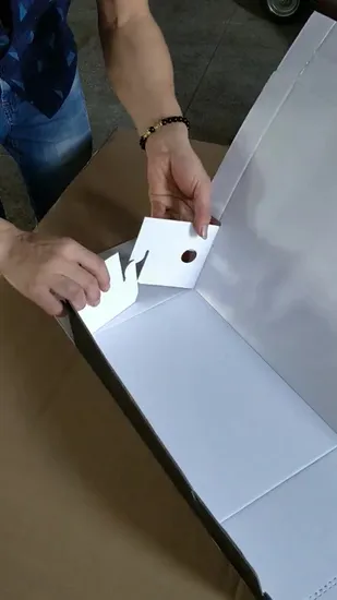 Dgm Box Folder Gluer 3pontos Caixa Ondulada Pré